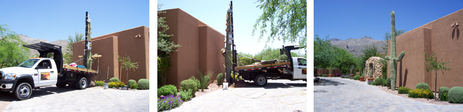 saguaro cactus installation